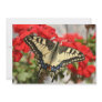 Anise Swallowtail Invitation