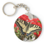 Anise Swallowtail Keychain