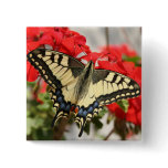 Anise Swallowtail Pin