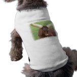 Ankhole Cattle  Pet Shirt