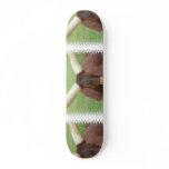 Ankhole Cattle Skateboard