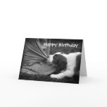 Ankle Biter Card