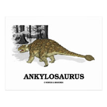 Ankylosaurus (Fused Lizard Dinosaur) Post Card