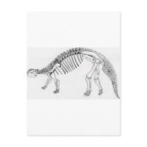 Ankylosaurus Postcard