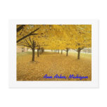 Ann Arbor in Fall Postcards