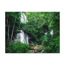 Anna Ruby Falls Postcard