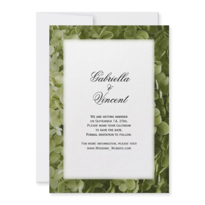 Annabelle Hydrangea Save the Date Announcement by loraseverson