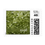 Annabelle Hydrangea Wedding RSVP Postage Stamp