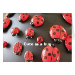 Annabelle's Bugs cards