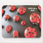 Annabelle's Bugs