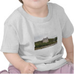 Annaghdown Castle Tees