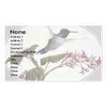 Anna's hummingbird business card