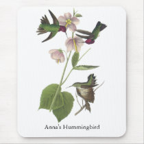Anna's Hummingbird, James Audubon Mouse Pad
