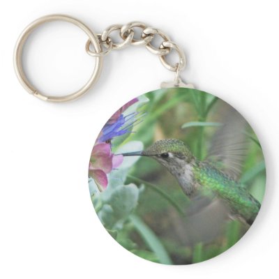 Anna's Hummingbird Keychain by ottergraph