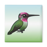 Anna's Hummingbird Refrigerator Magnets