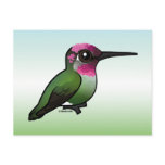 Anna's Hummingbird Postcards