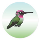 Anna's Hummingbird Stickers