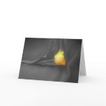 Anniversary Card