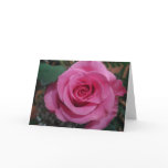 Anniversary of a Death Pink Rose series1 Cards