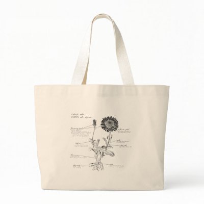 Annotated Botanical Diagram Canvas Bag by slagathor