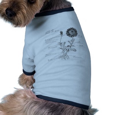 Annotated Botanical Diagram Pet Tee by slagathor