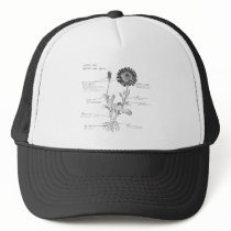 Annotated Botanical Diagram Mesh Hats