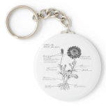 Annotated Botanical Diagram Key Chains