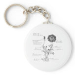 Annotated Botanical Diagram keychains