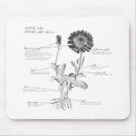 Annotated Botanical Diagram mousepads