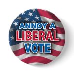 Annoy A Liberal VOTE Pinback Button