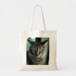 Annoyed Cat Canvas Bag