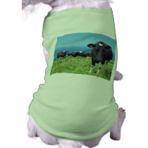 Annoyed cow dog clothes
