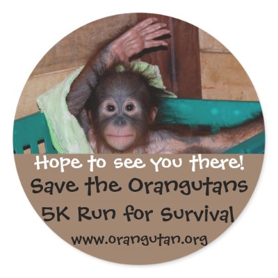 Annual Animal Charity 5k Run by Rebecca_Reeder