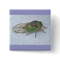 Annual Cicada Coordinating Items Pins