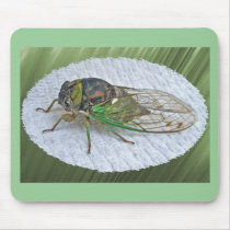 Annual Cicada Coordinating Items Mousepad