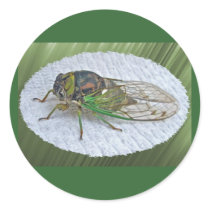 Annual Cicada Coordinating Items Round Sticker