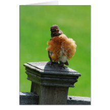 ...another bad hair day! Card