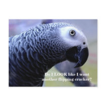 Another Flipping Cracker