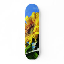 Another Of The Sunflowers On My Balcony Skateboard Deck