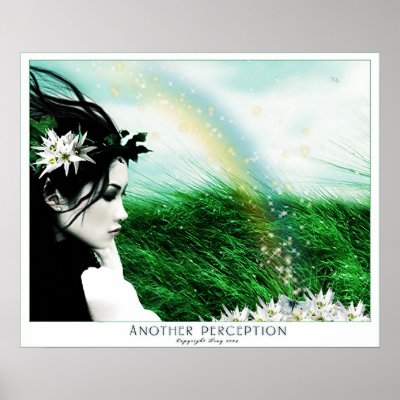 Another Perception Posters by spiritsighs