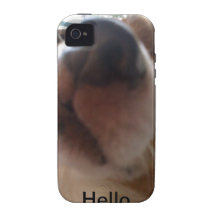 ANOTHER PRETTY FACE iPhone 4/4S CASE