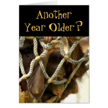 Another Year Older Birthday Card