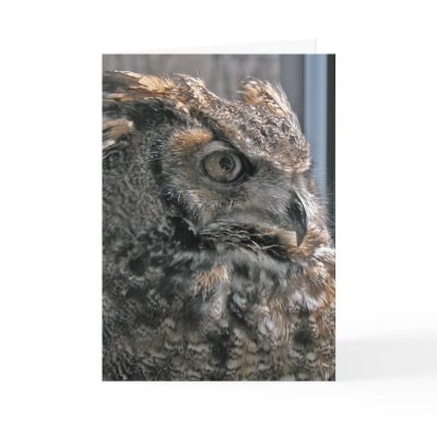 Another year wiser greeting cards by KiraDott