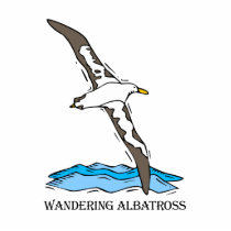 Anrie Albatross Photo Cut Out