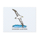 Anrie Albatross Postcard