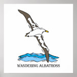 Anrie Albatross Posters