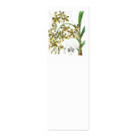 Ansellia africana business cards