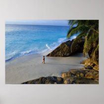 Ansi Victorin Beach, Fregate Island