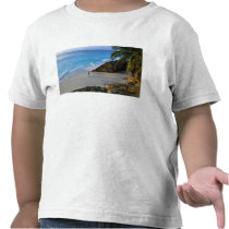 Ansi Victorin Beach, Fregate Island Tee Shirts