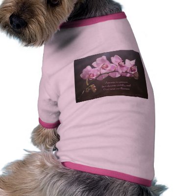 Answer To Prayer Dog Clothes by haikulady